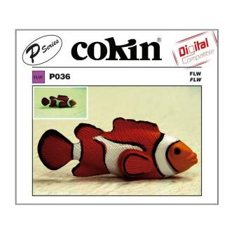 Kvadrātiskie filtri - Cokin Filter P036 FLW - ātri pasūtīt no ražotāja