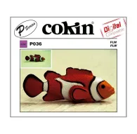 Kvadrātiskie filtri - Cokin Filter P036 FLW - ātri pasūtīt no ražotājaKvadrātiskie filtri - Cokin Filter P036 FLW - ātri pasūtīt no ražotāja
