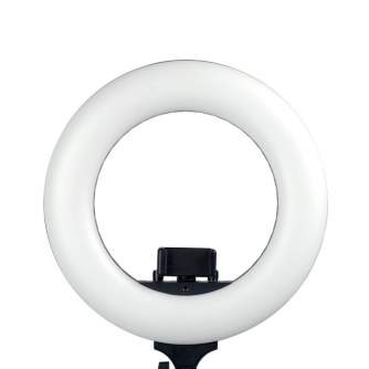 Sortimenta jaunumi - Caruba Round Vlogger 12 inch LED Set with Bag - Black - ātri pasūtīt no ražotāja