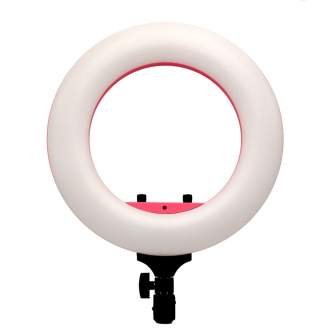 New products - Caruba Round Vlogger 12 inch LED Set met Tas - Roze (MENZ) - quick order from manufacturer