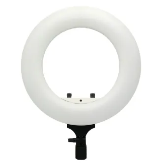 Ring Light - Caruba Round Vlogger 12 inch LED Set met Tas - Wit - quick order from manufacturer