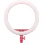 LED кольцевая лампа - Godox LR150 LED Ring Light Pink LR150 P - быстрый заказ от производителя
