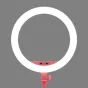 LED кольцевая лампа - Godox LR150 LED Ring Light Pink LR150 P - быстрый заказ от производителя