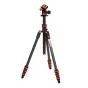 Photo Tripods - 3 Legged Thing Punks Billy 2.0 with Airhed Neo 2.0 Black - quick order from manufacturer