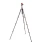 Photo Tripods - 3 Legged Thing Punks Billy 2.0 with Airhed Neo 2.0 Black - quick order from manufacturer