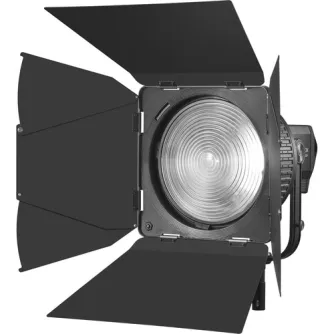 Насадки для света - Godox Fresnel barndoor for 10 inch lens LB 02 fresnel - быстрый заказ от производителя