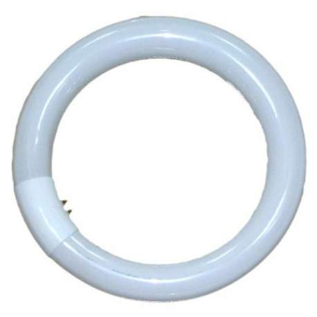 Replacement Lamps - Falcon Eyes Ring Lamp 40W for RFL-3 - buy today in store and with delivery