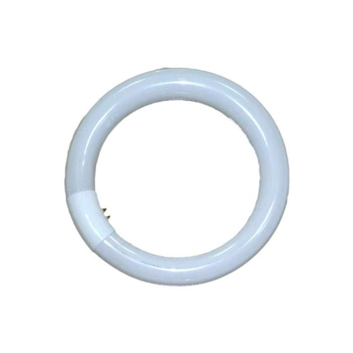 Replacement Lamps - Falcon Eyes Ring Lamp 40W for RFL-3 - buy today in store and with delivery