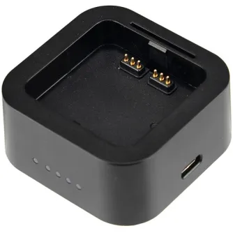 Zibspuldzes ar akumulatoru - Godox UC29 USB charger for AD200 - быстрый заказ от производителя