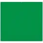 Фоны - Westcott X-Drop Pro Wrinkle-Resistant Backdrop - Chroma-Key Green Screen (8 x 8) - быстрый заказ от производителя