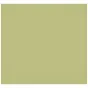 Фоны - Westcott X-Drop Pro Wrinkle-Resistant Backdrop - Light Moss Green (2.4 x 2.4 m) - быстрый заказ от производителя