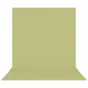 Backgrounds - Westcott X-Drop Pro Wrinkle-Resistant Backdrop - Light Green Moss Sweep (2.4 x 4 m) - quick order from manufacturer