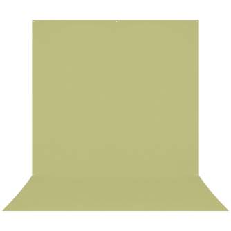 Foto foni - Westcott X-Drop Pro Wrinkle-Resistant Backdrop - Light Green Moss Sweep (2.4 x 4 m) - ātri pasūtīt no ražotāja