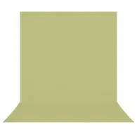 Фоны - Westcott X-Drop Pro Wrinkle-Resistant Backdrop - Light Green Moss Sweep (2.4 x 4 m) - быстрый заказ от производителяФоны - Westcott X-Drop Pro Wrinkle-Resistant Backdrop - Light Green Moss Sweep (2.4 x 4 m) - быстрый заказ от производителя