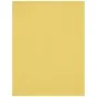 Backgrounds - Westcott X-Drop Wrinkle-Resistant Backdrop - Canary Yellow (1.5 x 2.1 m) - quick order from manufacturer