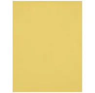Backgrounds - Westcott X-Drop Wrinkle-Resistant Backdrop - Canary Yellow (1.5 x 2.1 m) - quick order from manufacturerBackgrounds - Westcott X-Drop Wrinkle-Resistant Backdrop - Canary Yellow (1.5 x 2.1 m) - quick order from manufacturer