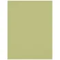Backgrounds - Westcott X-Drop Wrinkle-Resistant Backdrop - Light Moss Green (1.5 x 2.1 m) - quick order from manufacturer