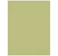 Фоны - Westcott X-Drop Wrinkle-Resistant Backdrop - Light Moss Green (1.5 x 2.1 m) - быстрый заказ от производителяФоны - Westcott X-Drop Wrinkle-Resistant Backdrop - Light Moss Green (1.5 x 2.1 m) - быстрый заказ от производителя