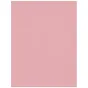 Backgrounds - Westcott X-Drop Wrinkle-Resistant Backdrop - Blush Pink (1.5 x 2.1 m) - quick order from manufacturer