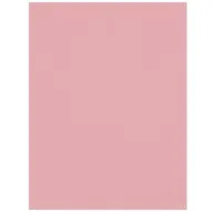 Фоны - Westcott X-Drop Wrinkle-Resistant Backdrop - Blush Pink (1.5 x 2.1 m) - быстрый заказ от производителяФоны - Westcott X-Drop Wrinkle-Resistant Backdrop - Blush Pink (1.5 x 2.1 m) - быстрый заказ от производителя