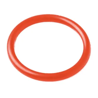 Teleskopi - Bresser LUNT O-ring for Pressure-Tuner at LS50THa solar telescopes - ātri pasūtīt no ražotāja