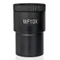 Microscopes - BRESSER WF10x 30mm Eyepiece Micrometer - quick order from manufacturer