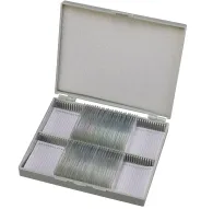 Microscopes - BRESSER Prepared Slides: Animals - quick order from manufacturerMicroscopes - BRESSER Prepared Slides: Animals - quick order from manufacturer