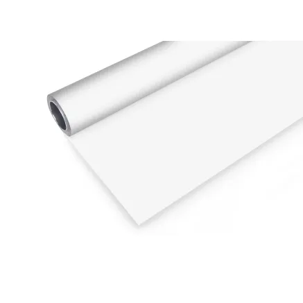BRESSER Vinyl Background Roll 2,00 x 3m White
