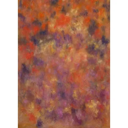 BRESSER BR-I572 Background Cloth with Motif 1,8 x 2,5m