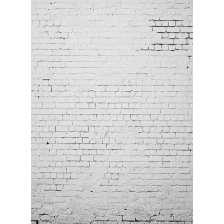 BRESSER BR-S1119 Background Cloth with Motif 1,8 x 2,5m