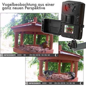 Time Lapse камеры - Bresser Bird/Small Animal-Camera SFC-1 - быстрый заказ от производителя
