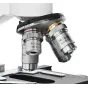 Mikroskopi - BRESSER Erudit DLX 40-600x Microscope - ātri pasūtīt no ražotāja