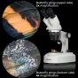 Mikroskopi - BRESSER Researcher ICD LED 20x-80x Stereo Microscope - ātri pasūtīt no ražotāja