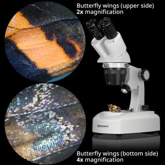 Microscopes - BRESSER Researcher ICD LED 20x-80x Stereo Microscope - quick order from manufacturer