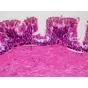 Microscopes - BRESSER Prepared Slides: Histology - quick order from manufacturer