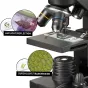 Microscopes - Bresser NATIONAL GEOGRAPHIC 40x-1280x Microscope with Smartphone holder - quick order from manufacturer