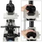 Mikroskopi - Bresser Nexcope NE930 Upright Microscope - быстрый заказ от производителя