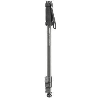 Monopods - walimex pro WT-1003 Basic Monopod, 171cm - quick order from manufacturer