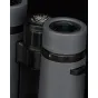 Binokļi - BRESSER Pirsch ED 8x34 Binocular Phase Coating - ātri pasūtīt no ražotāja