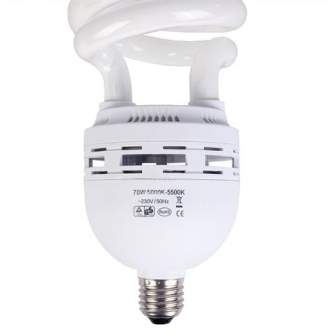 Запасные лампы - Falcon Eyes Daylight Lamp 70W E27 ML-70 - быстрый заказ от производителя