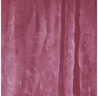 Foto foni - Walimex Cloth Background 3x6m bordeaux - быстрый заказ от производителяFoto foni - Walimex Cloth Background 3x6m bordeaux - быстрый заказ от производителя