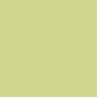 Backgrounds - BRESSER SBP19 Paper Background Roll 1,36 x 11m Tropical Green - quick order from manufacturer