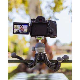 Mobile Phones Tripods - Joby tripod PodZilla Large, gray - buy today in store and with delivery