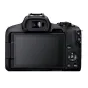 Bezspoguļa kameras - Canon EOS R50 Body - быстрый заказ от производителя