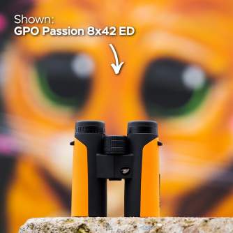 Binokļi - GPO Passion 8x32ED Binoculars Orange - ātri pasūtīt no ražotāja