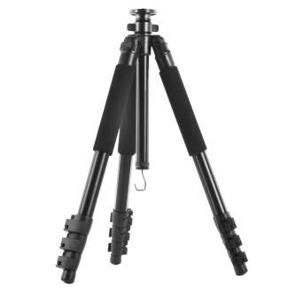 Photo Tripods - walimex pro FT-667T Pro Tripod, 173cm - buy today in store and with delivery