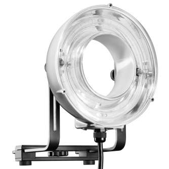 Studio Frashes with Power Packs - walimex Ring Flash RD-600 - quick order from manufacturer