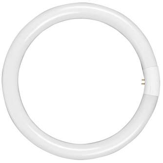 Replacement Lamps - walimex outer Lamp 40W for Beauty Ring Light 90W - quick order from manufacturer