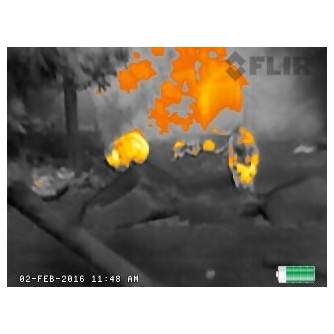 Nakts redzamība - FLIR Scout TKx Thermal Imaging Camera - ātri pasūtīt no ražotāja