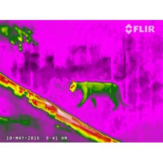 Устройства ночного видения - FLIR Scout TKx Thermal Imaging Camera - быстрый заказ от производителя
